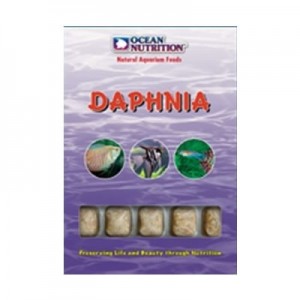 Daphnia