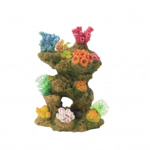 Conjunto Coral-Reef M1