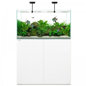 WaterBox, Clear 3620
