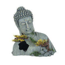 Buda Asia 4